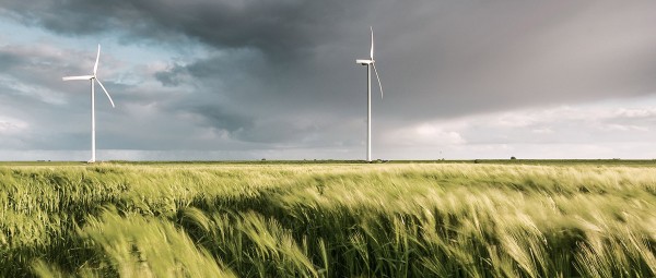 Wind Schaeffler Indonesia